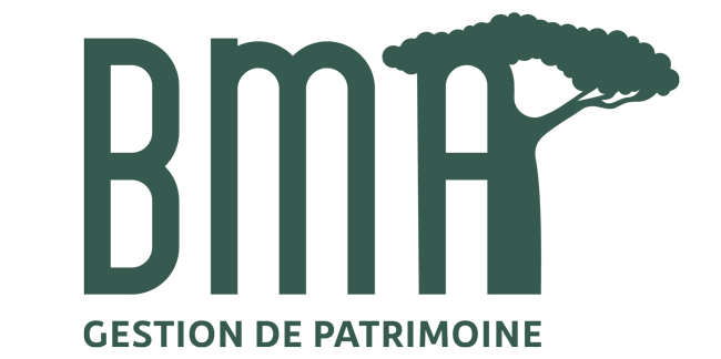 Organisation & Gestion de Patrimoine