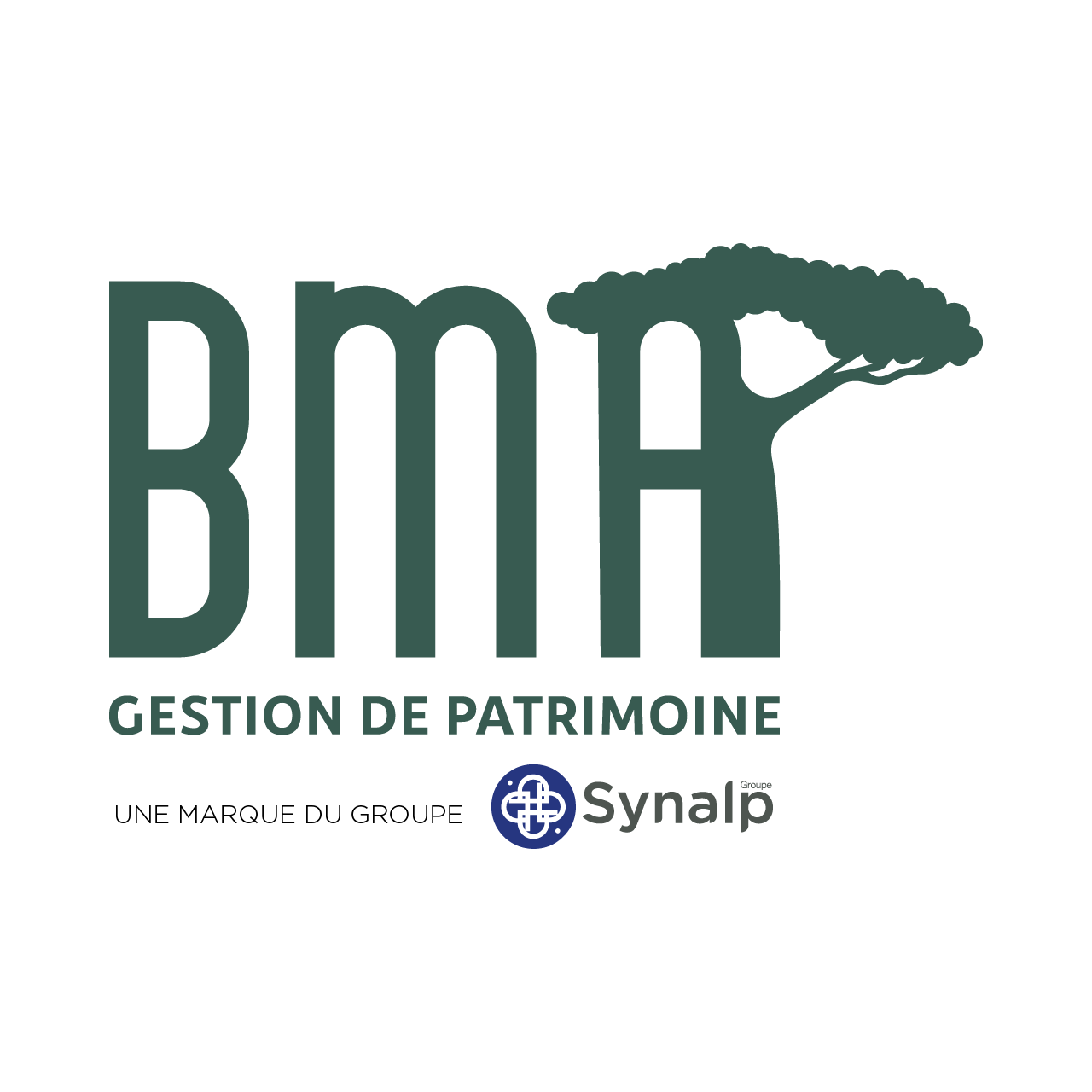 BMA Gestion de Patrimoine – Synalp Groupe